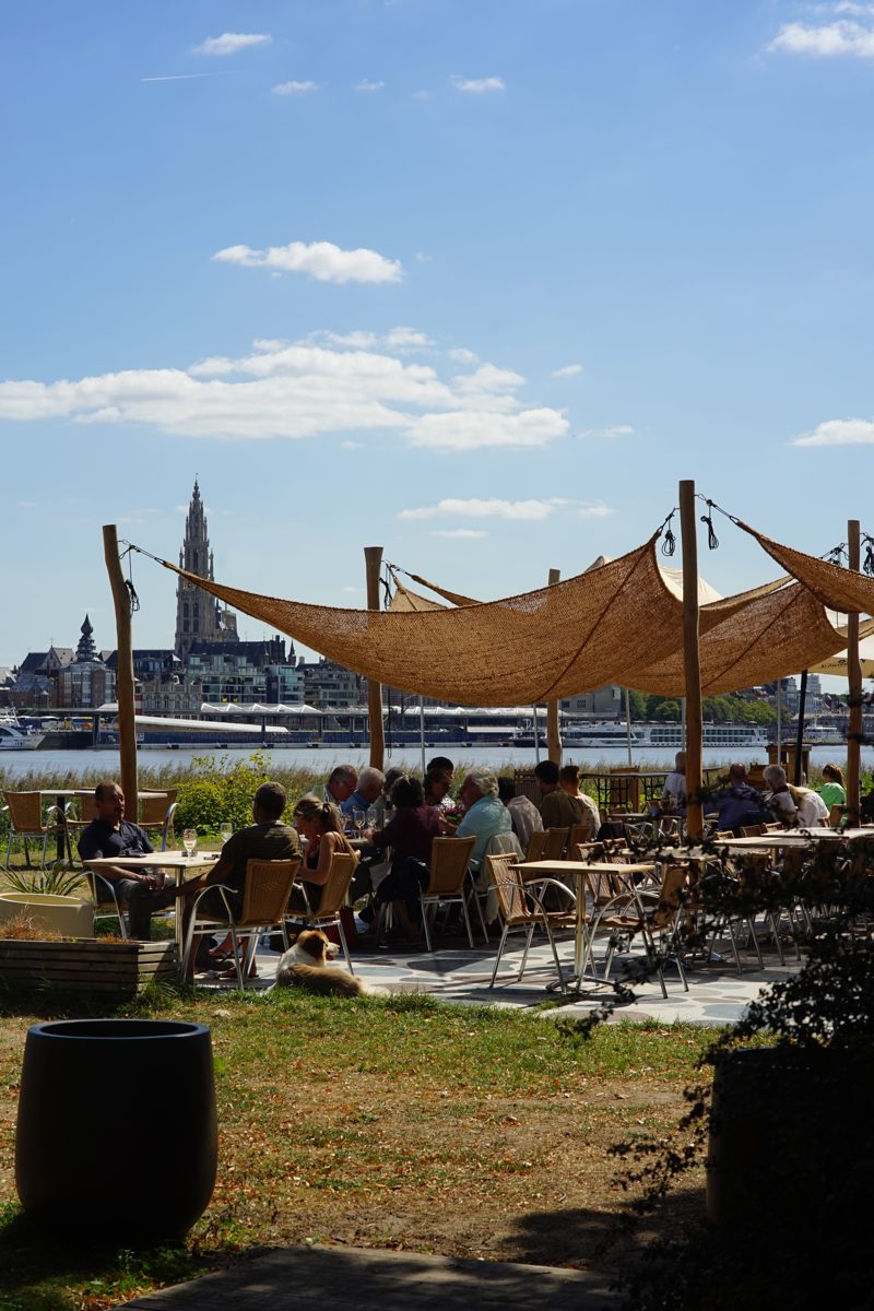 Zicht vanop het terras van Liberty op de Schelde en de skyline van Antwerpen